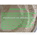 chaga mushroom powder;chaga mushroom extract powder